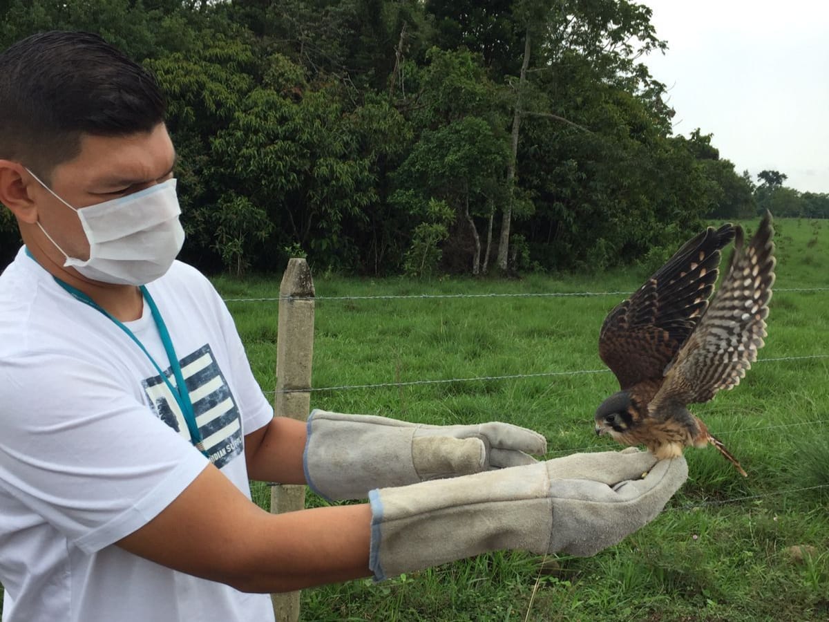 La autoridad ha atendido a 26 aves durante el 2022.