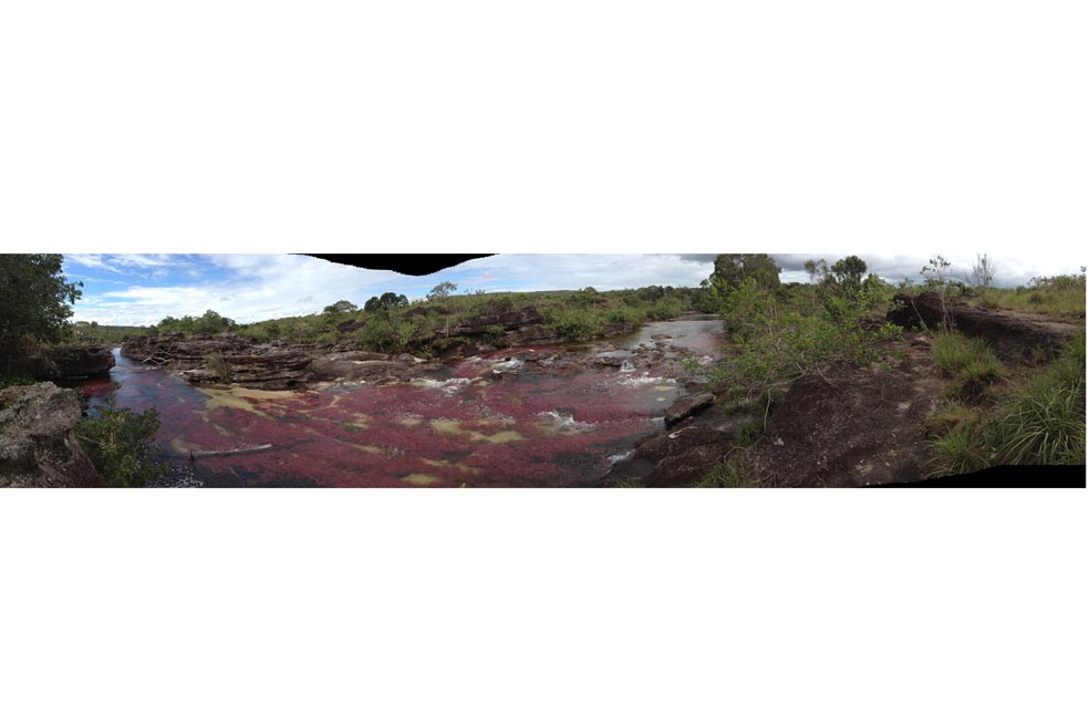 El renacimiento de Caño Cristales