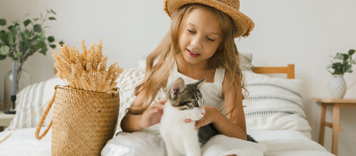 5 razas de gatos tranquilas para convivir con niños