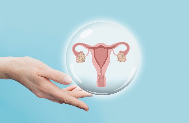 Científicas hacen el primer estudio detallado sobre la longevidad de los ovarios