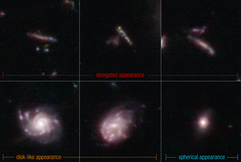 Las galaxias suelen aparecer planas y alargadas, como fideos de piscina o tablas de surf (en la fila superior). Las galaxias delgadas, en forma de discos circulares, que se parecen a los frisbees, son el siguiente grupo más grande (que se muestra en la parte inferior izquierda y en el centro). Las galaxias con forma de esferas o pelotas de voleibol constituyeron la fracción más pequeña de sus detecciones (que se muestran en la parte inferior derecha). /NASA, ESA, CSA, Steve Finkelstein (UT Austin), Micaela Bagley (UT Austin), Rebecca Larson (UT Austin)