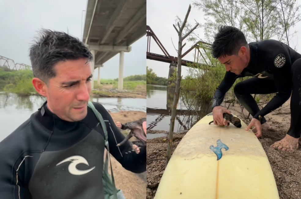 “Te vas con nosotros”: influencer se encuentra una cachorrita abandonada en el río