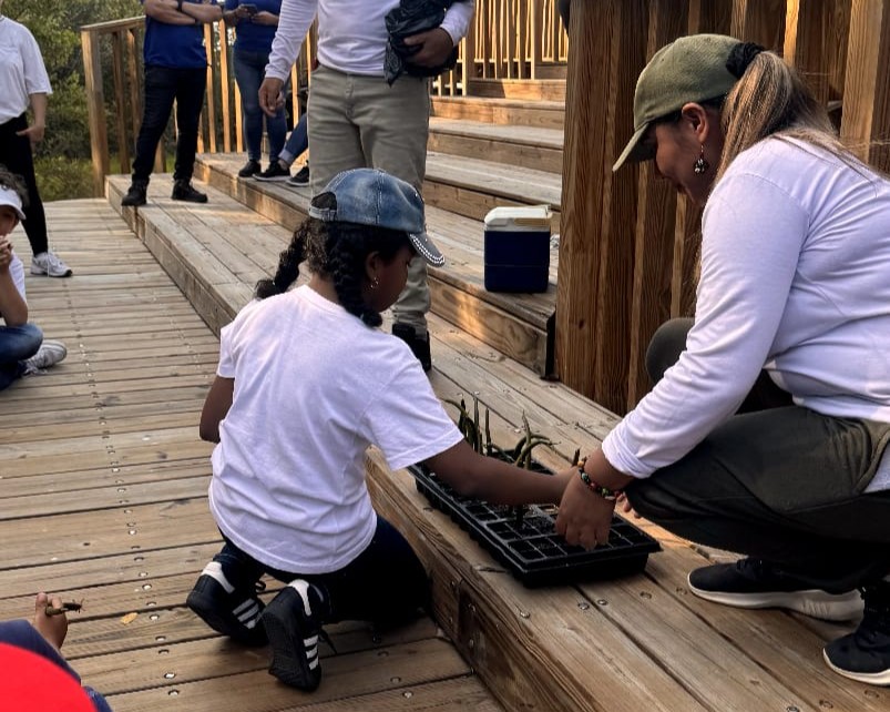A través de experiencias ecoturísticas, buscan sensibilizar a los visitantes sobre la importancia del ecosistema.