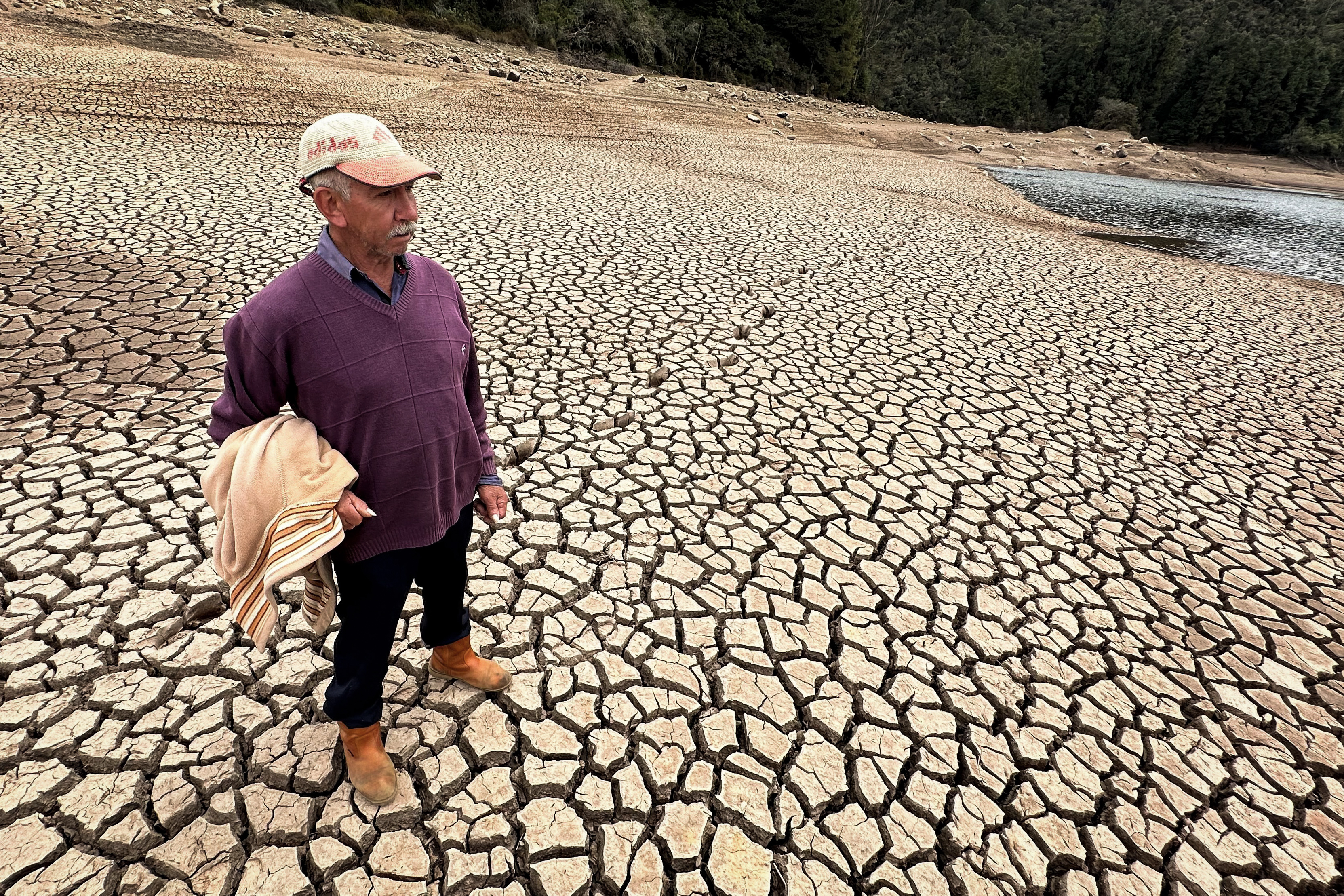 Latinoamérica puede “hacer más” contra la crisis climática, dicen la OCDE y el BID