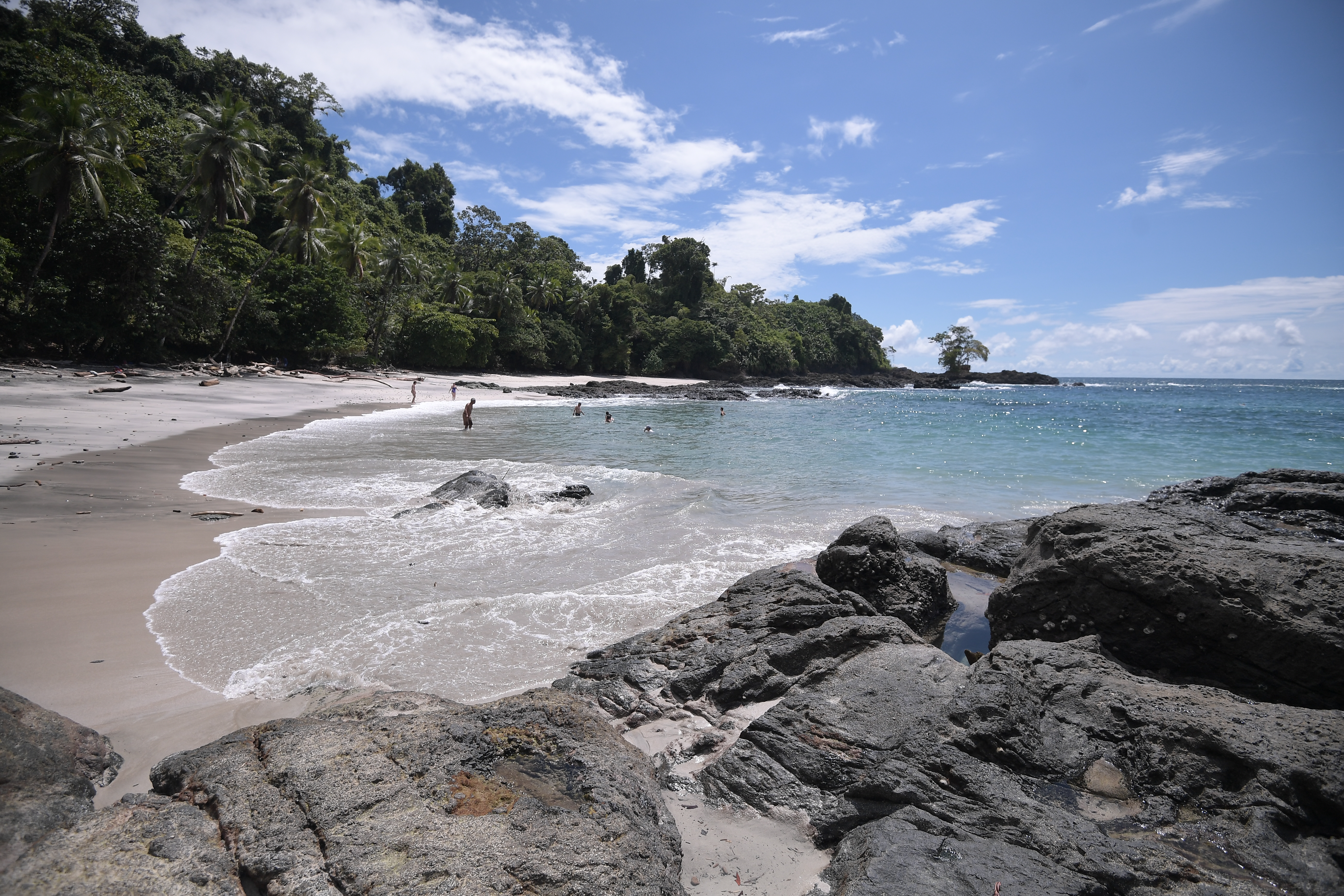 Compradores internacionales de turismo de naturaleza se reunirán en Colombia