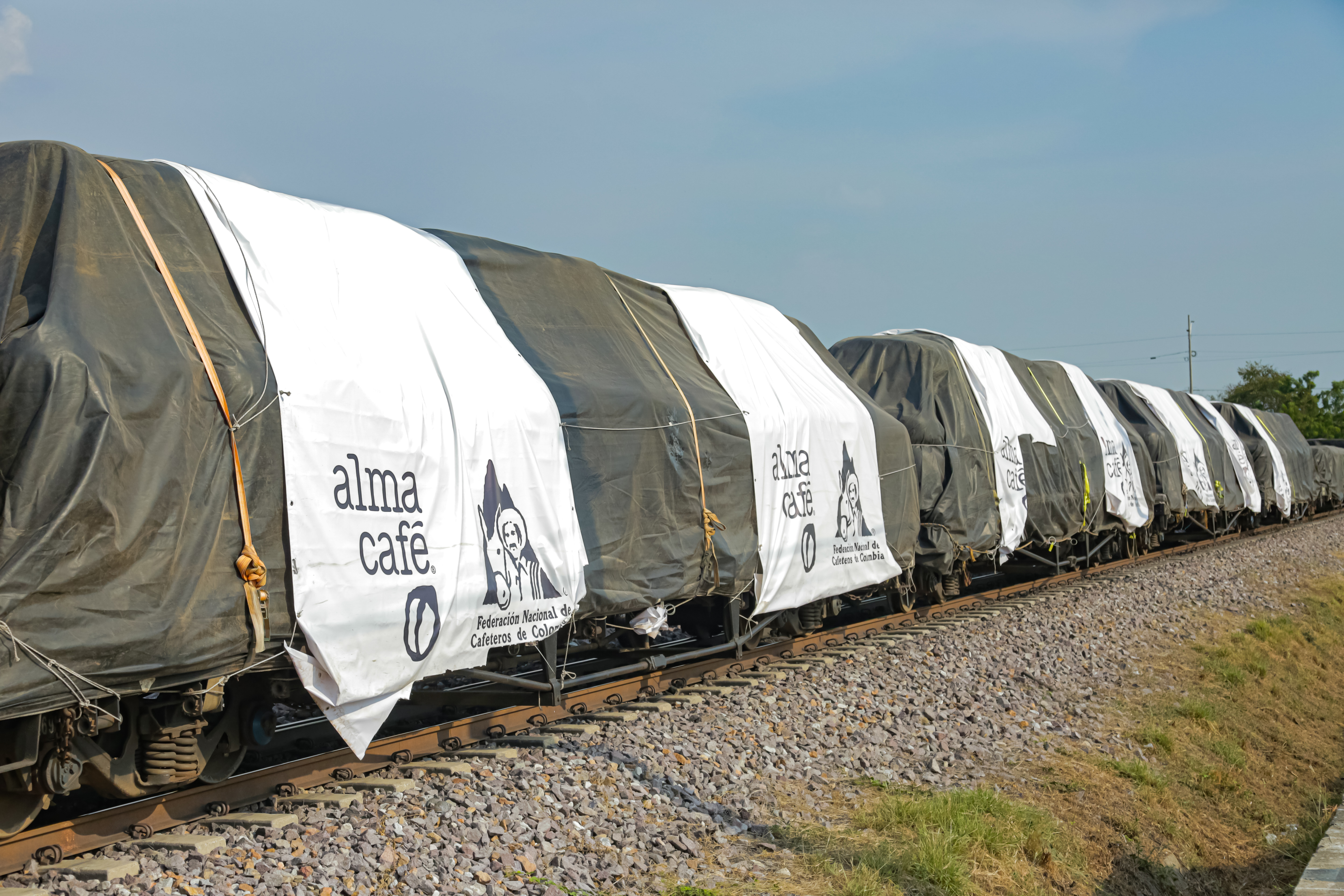 Cafeteros en el tren.