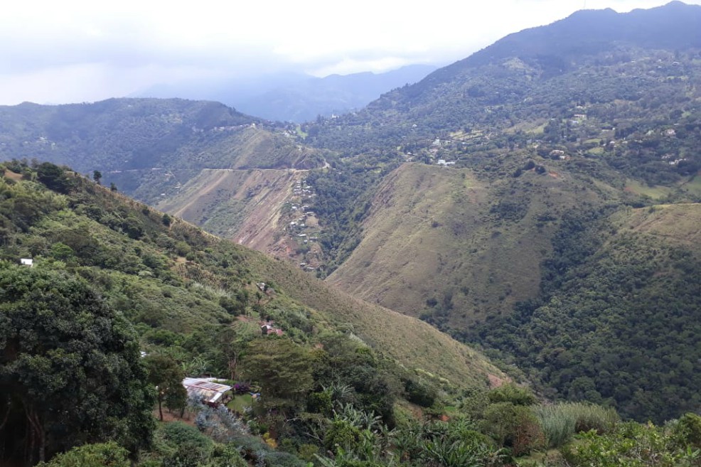 El Valle del Cauca tiene 6.000 hectáreas nuevas de áreas protegidas
