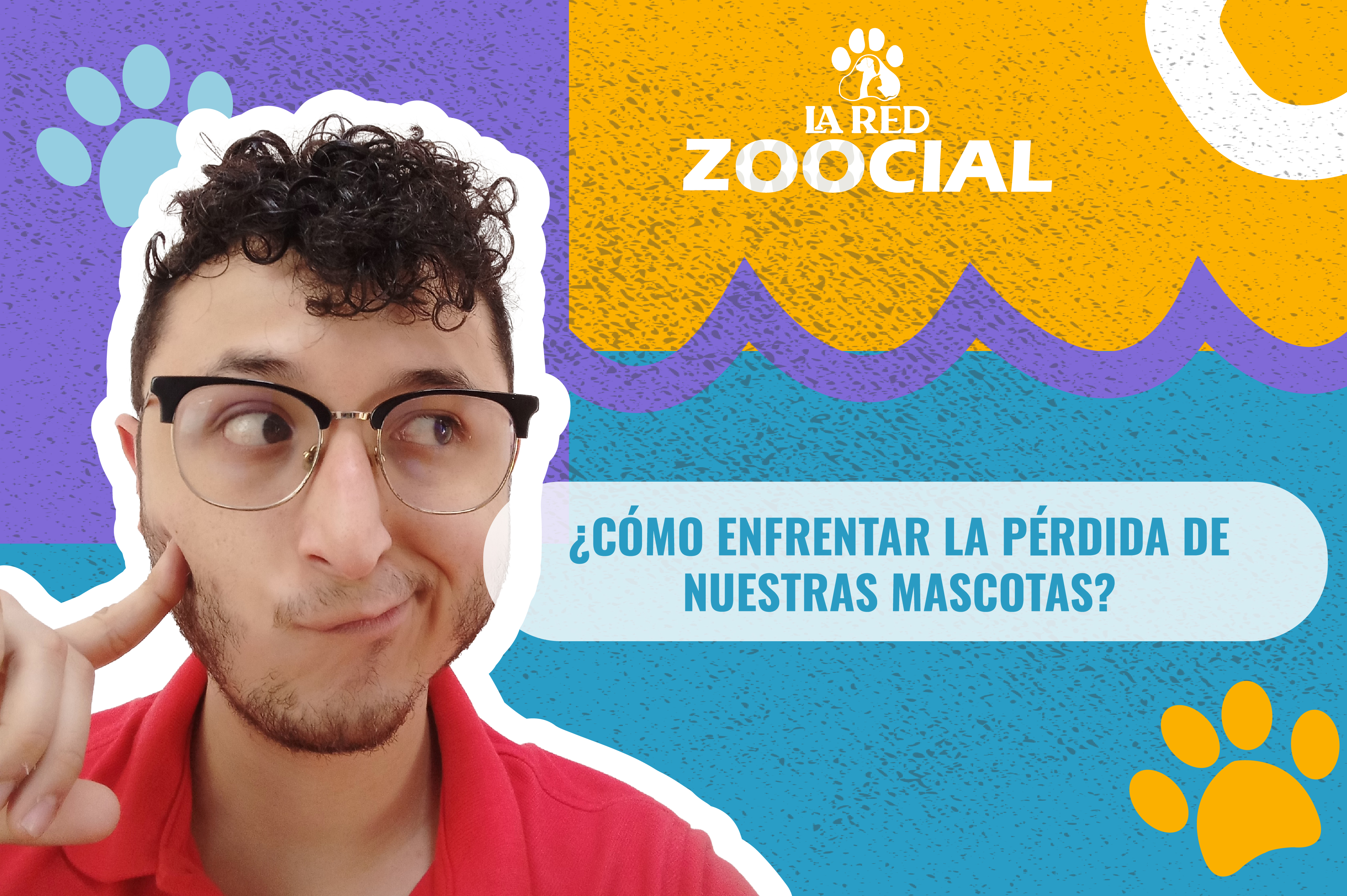 (Video) ¿Cómo enfrentar la pérdida de nuestras mascotas?