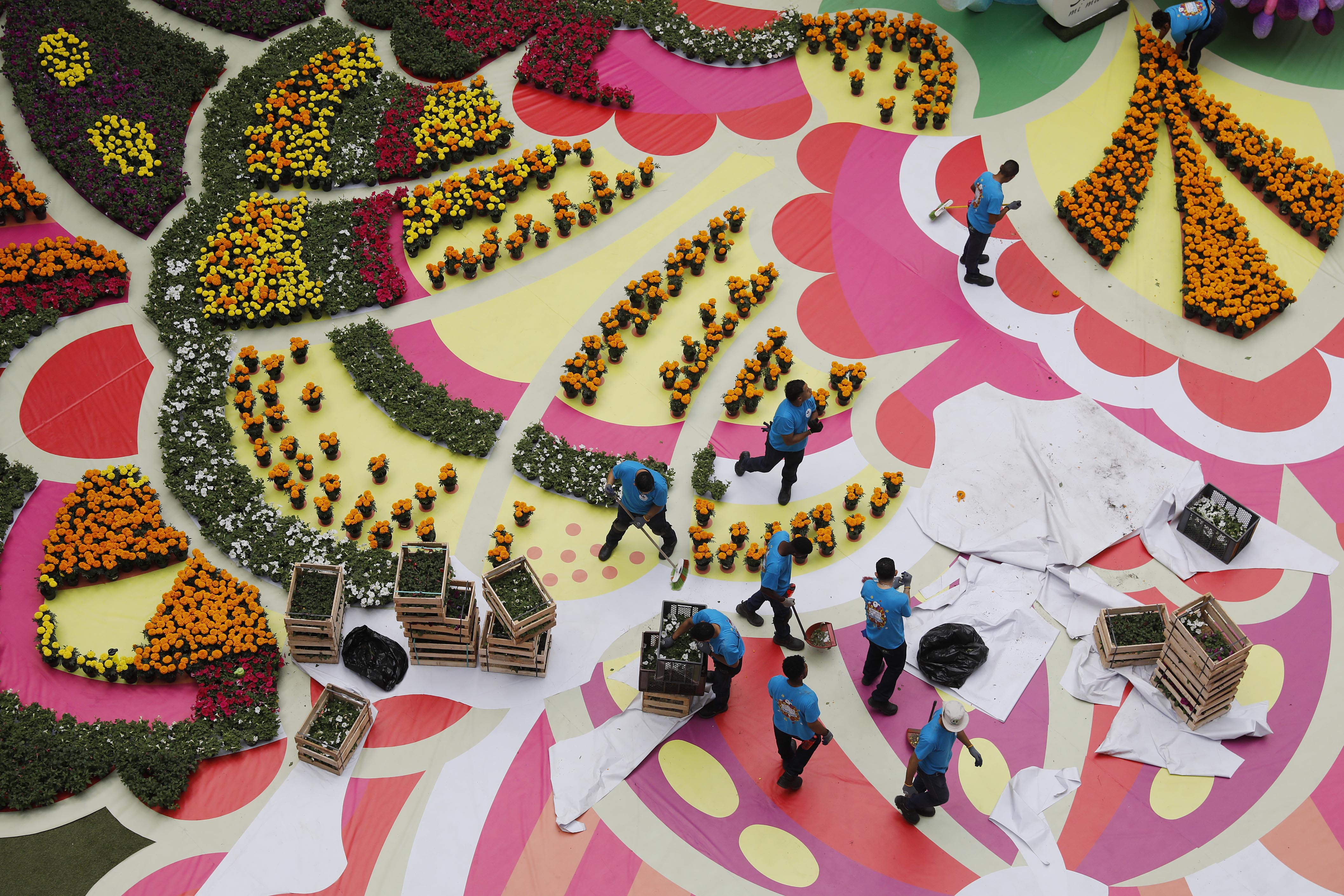 -FOTODELDÍA- AME2509. MEDELLÍN (COLOMBIA), 17/07/2024.- Trabajadores inician con la elaboración de un tapete de flores como preámbulo de la Feria de las Flores, el 13 de julio de 2024 en el Centro Comercial Santa Fe, en Medellín (Colombia). Un caballito de mar de 11 metros se encumbra sobre un tapete elaborado con 180.000 flores para pintar de colores a Medellín, con un mensaje de conservación que representa el ecosistema marino y, al mismo tiempo, como preámbulo de la Feria de las Flores, transmitir que la vida también "florece" en los océanos. EFE/ Luis Eduardo Noriega A.