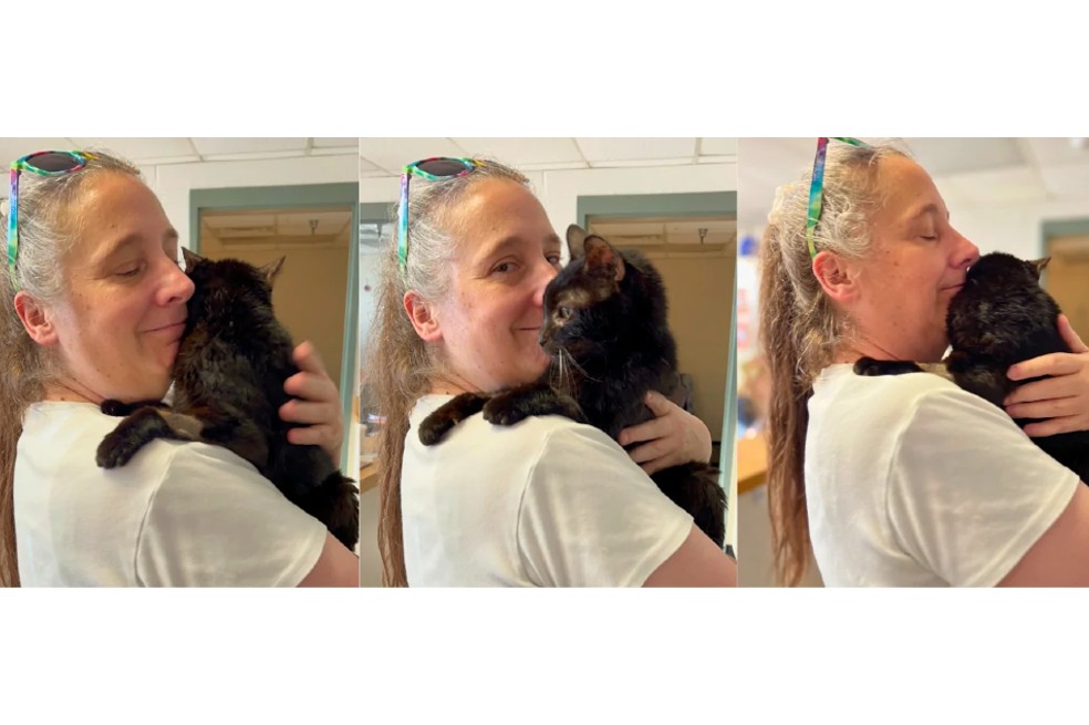 Nora, la valiente gata ciega que sobrevivió en las calles, se reencuentra con su familia