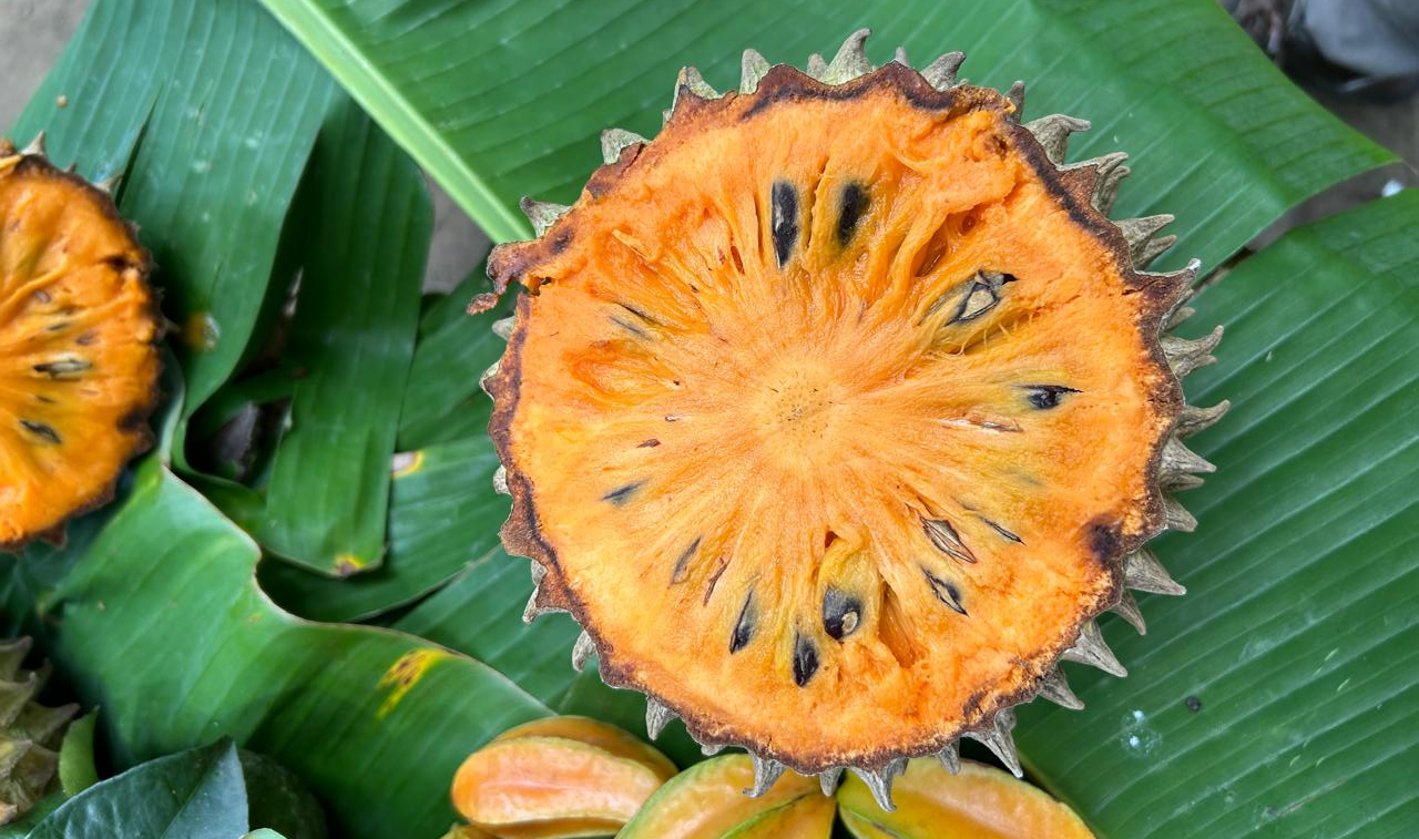 Montes de María: sabores del bosque seco tropical a la mesa