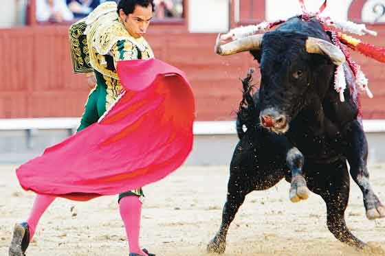 Tauromaquia, una tradición cada vez más cuestionada en España