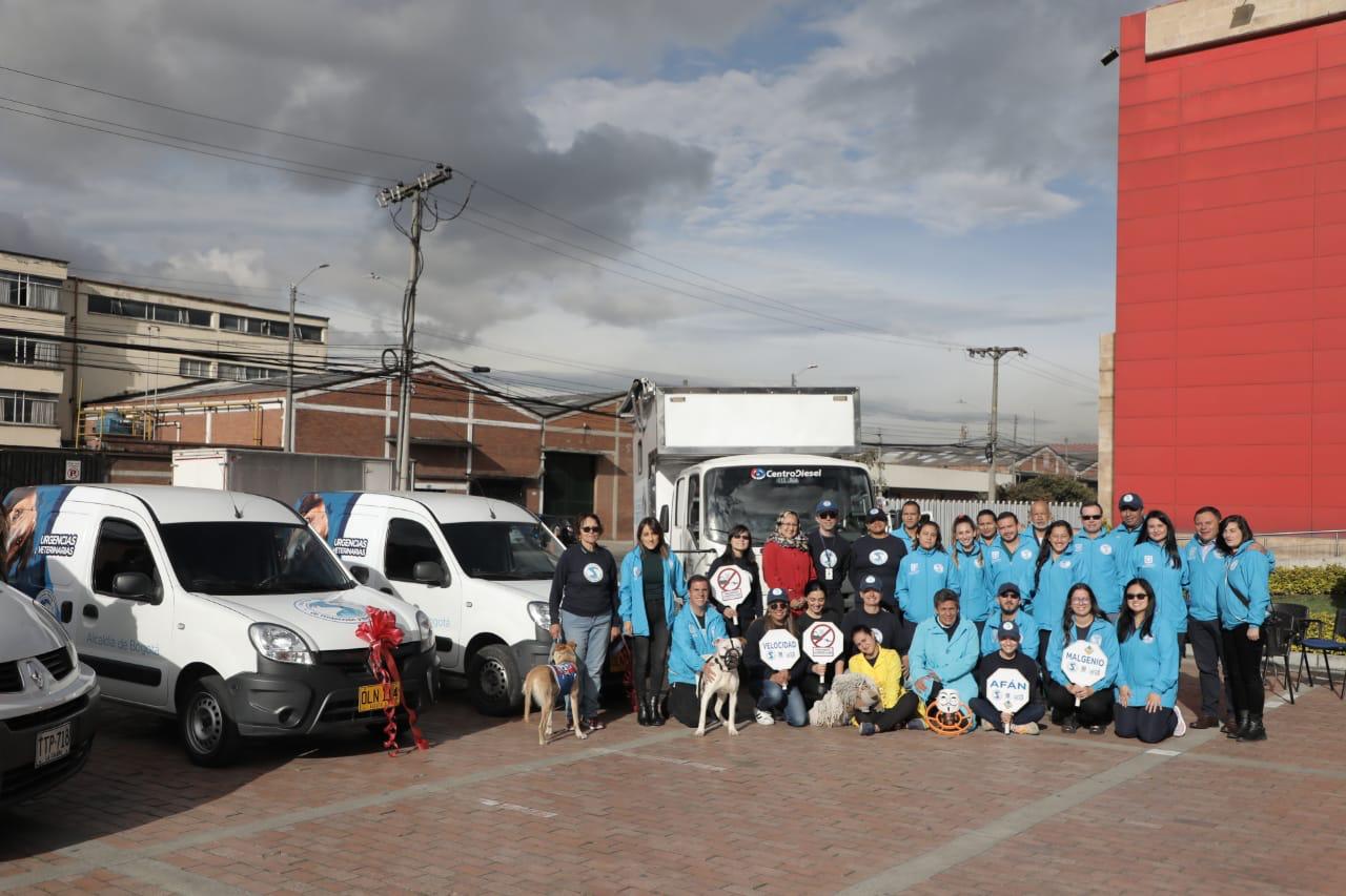Cortesía Instituto de Protección y Bienestar Animal.