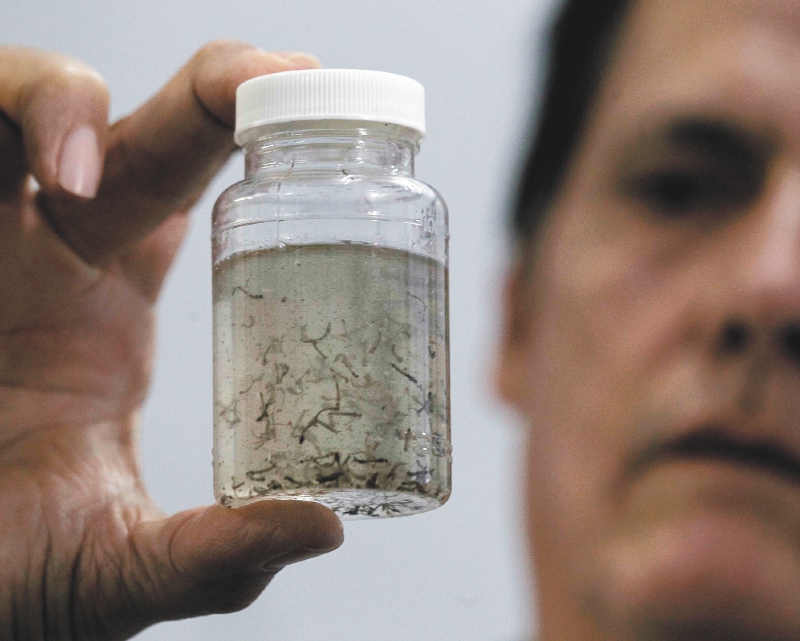 Los retos para la mitigación del dengue en Cartagena
