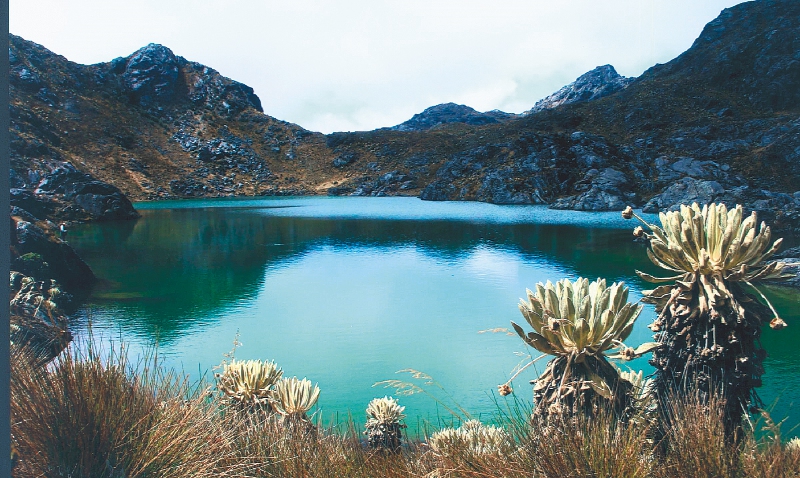 Prohibir la minería en el Páramo de Santurbán es legítimo: Tribunal del CIADI