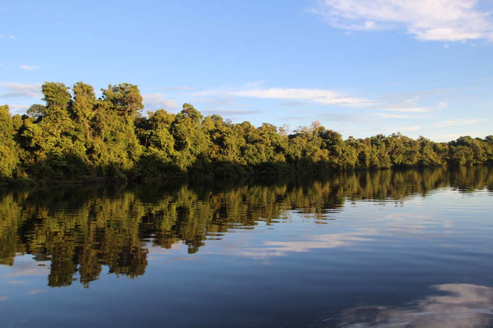 Preocupación por deterioro ambiental en la Amazonia