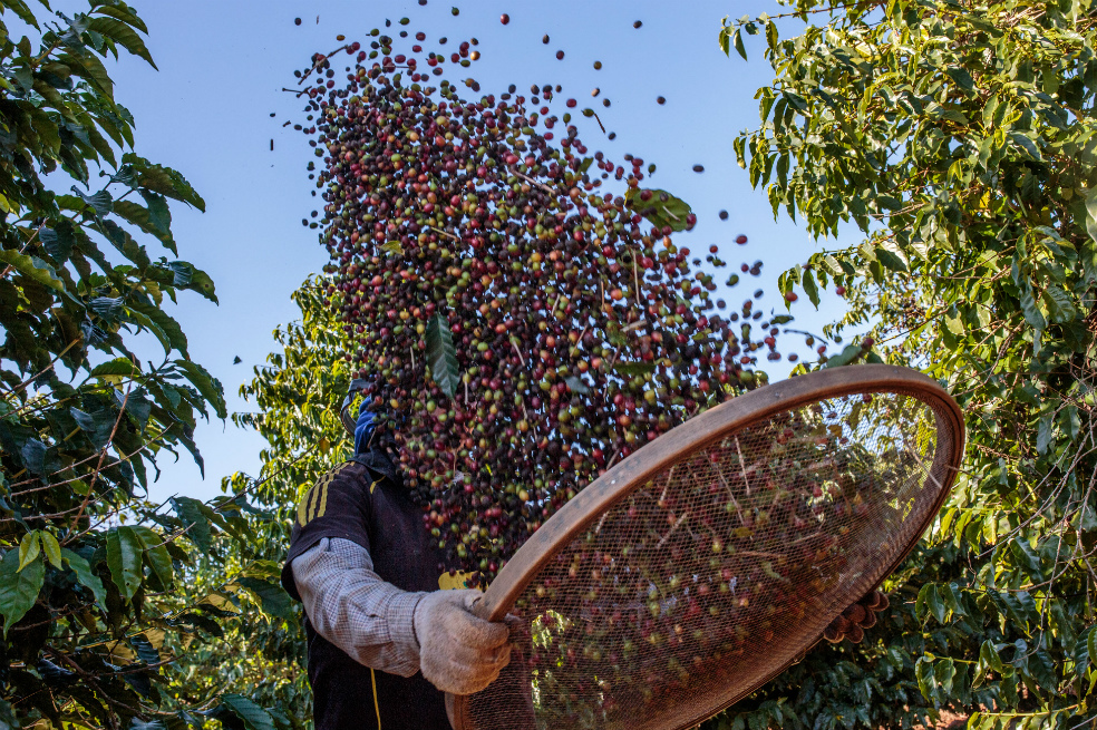 Los tristes días del café podrían terminar pronto