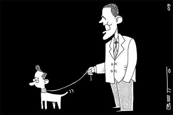 Nueva mascota