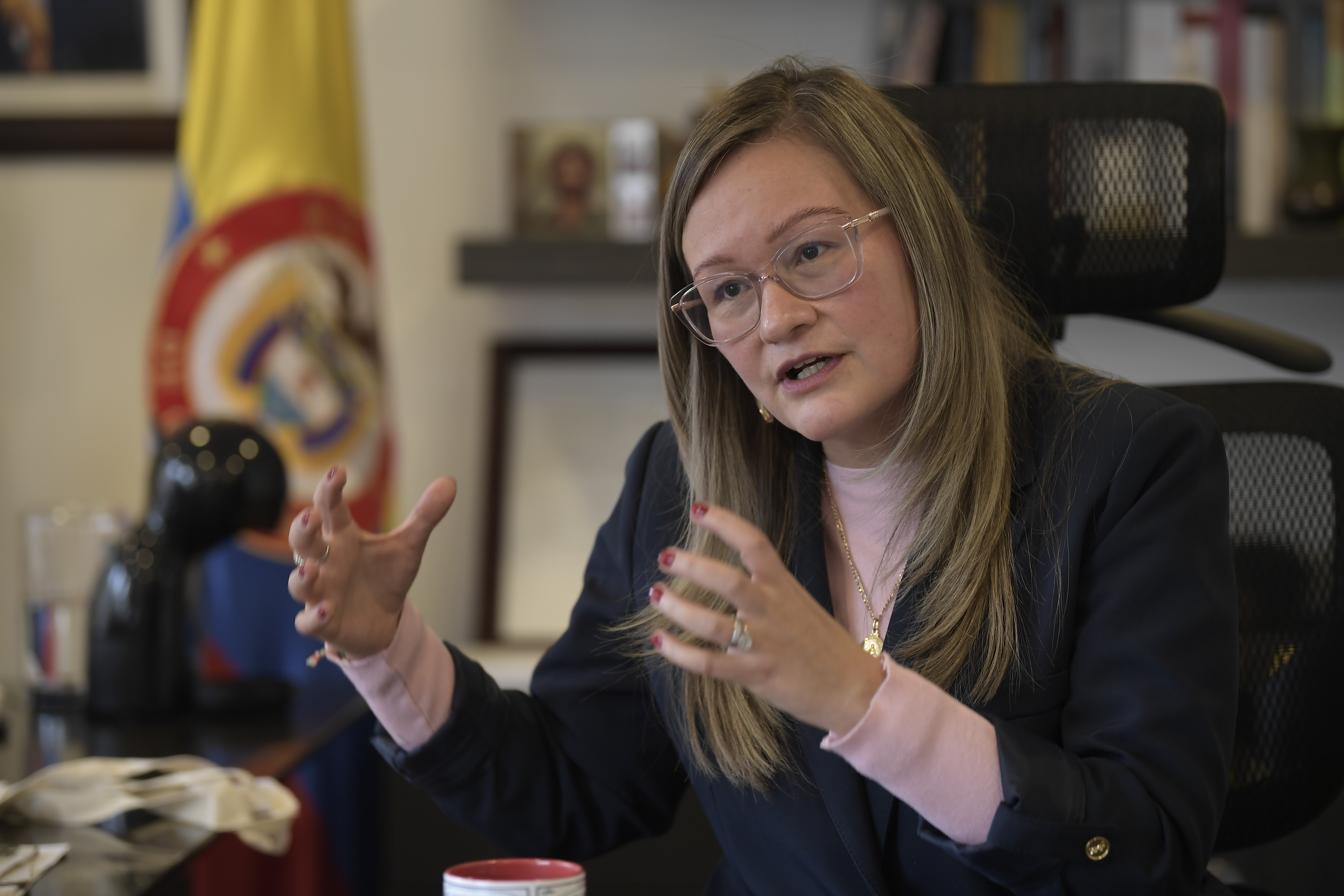Superintendente de Industria y Comercio,  en entrevista