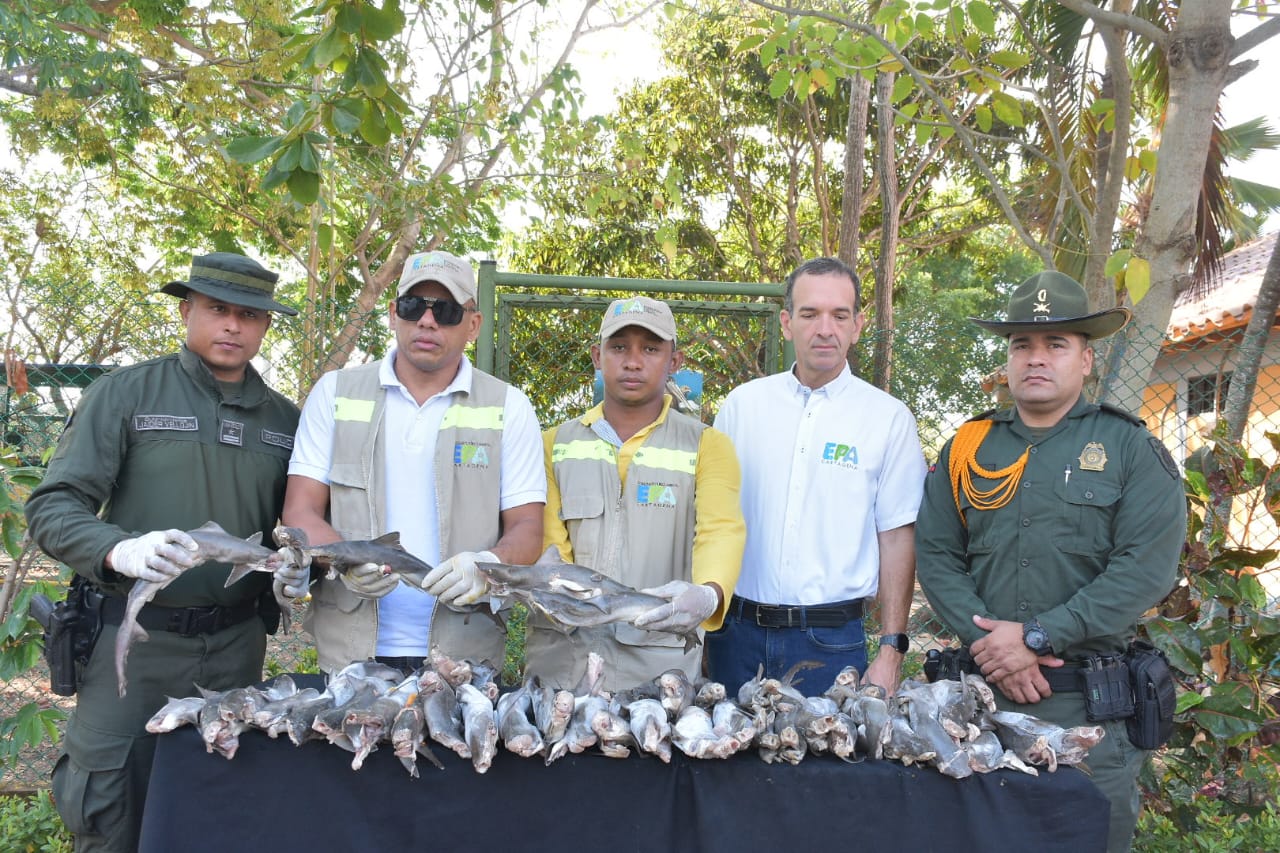 Carne de hicotea, tiburón y chigüiro fue decomisada en Bazurto, mercado de Cartagena