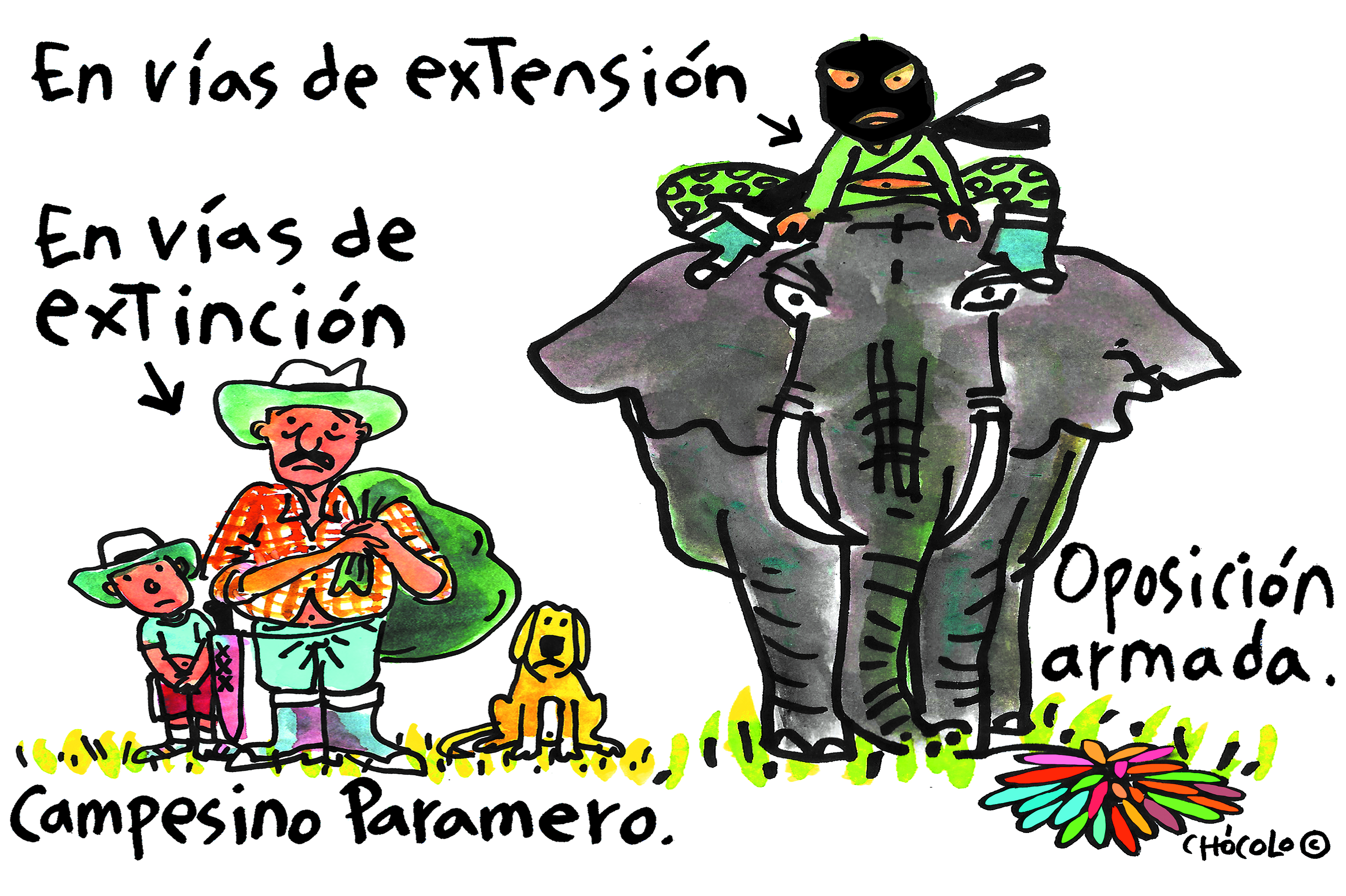 Chócolo