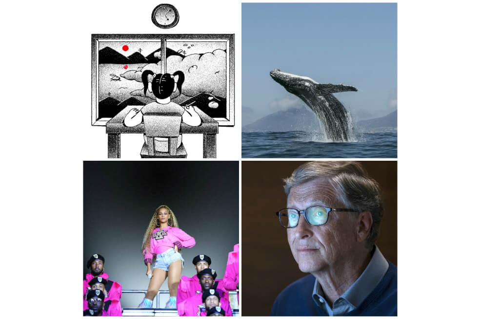 Netflix: estos fueron los documentales más vistos durante 2019 en Colombia