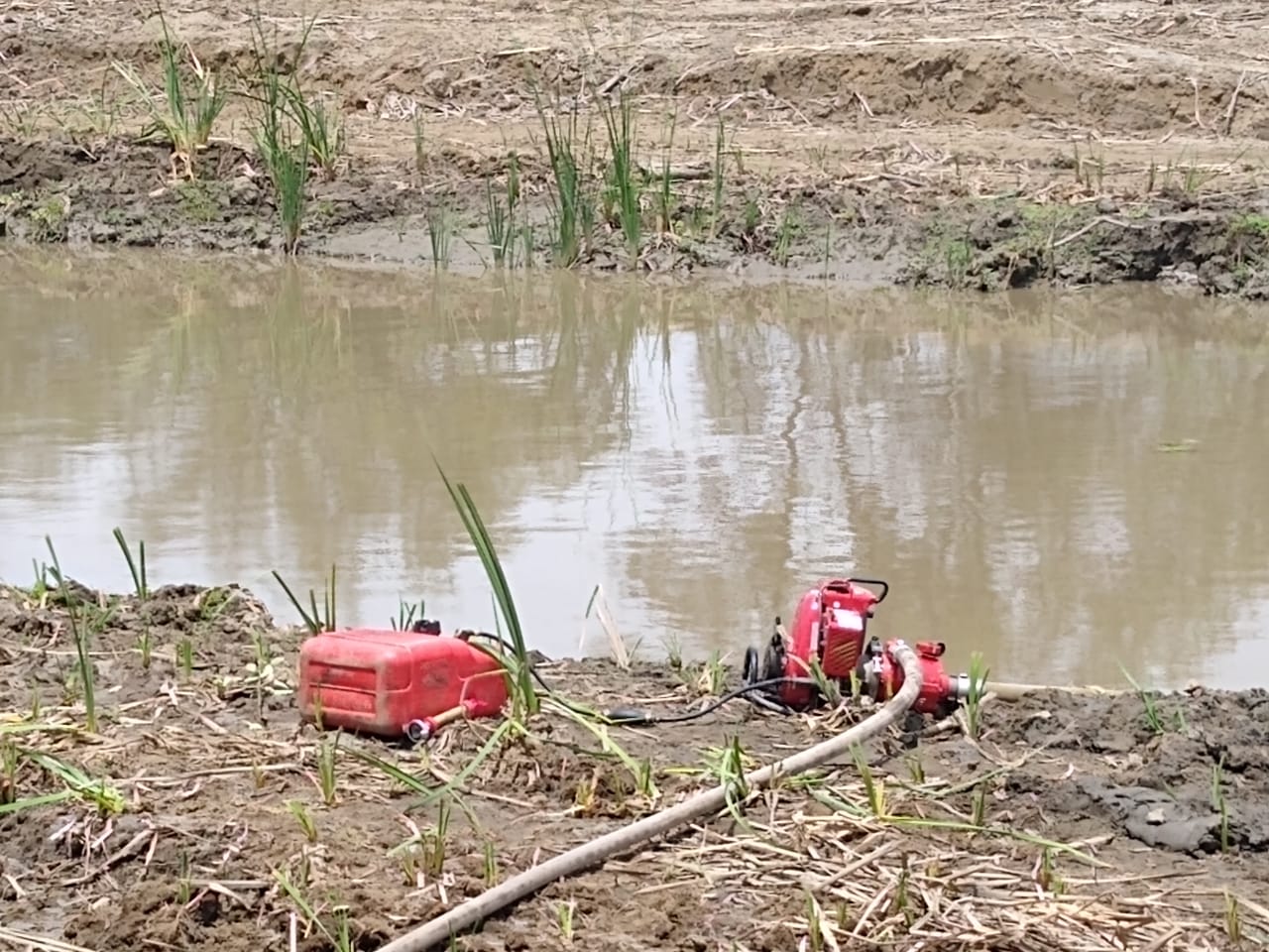 Autoridades ambientales estiman que las causas del incendio podrían estar asociadas a actividades de caza y pesca, y a un aumento del factor de riesgo debido a la temporada de sequía.