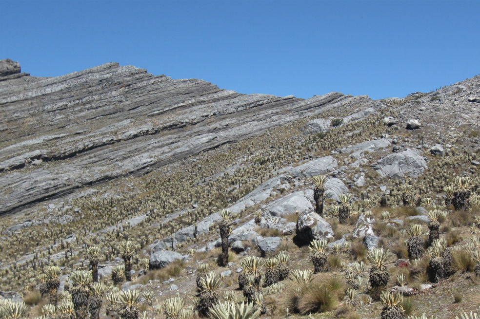 El Cocuy-Boyacá/Cortesía: Andrea Prieto- Ambiente y Sociedad