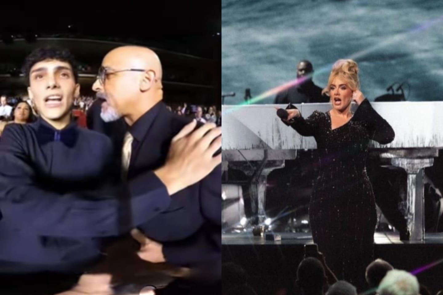 Video: Adele detuvo su concierto para defender a  fan que fue agredido por guardia