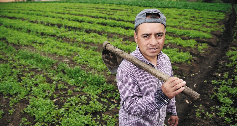 Campesinado cuestiona petición del Gobierno para que se aplace debate de baldíos