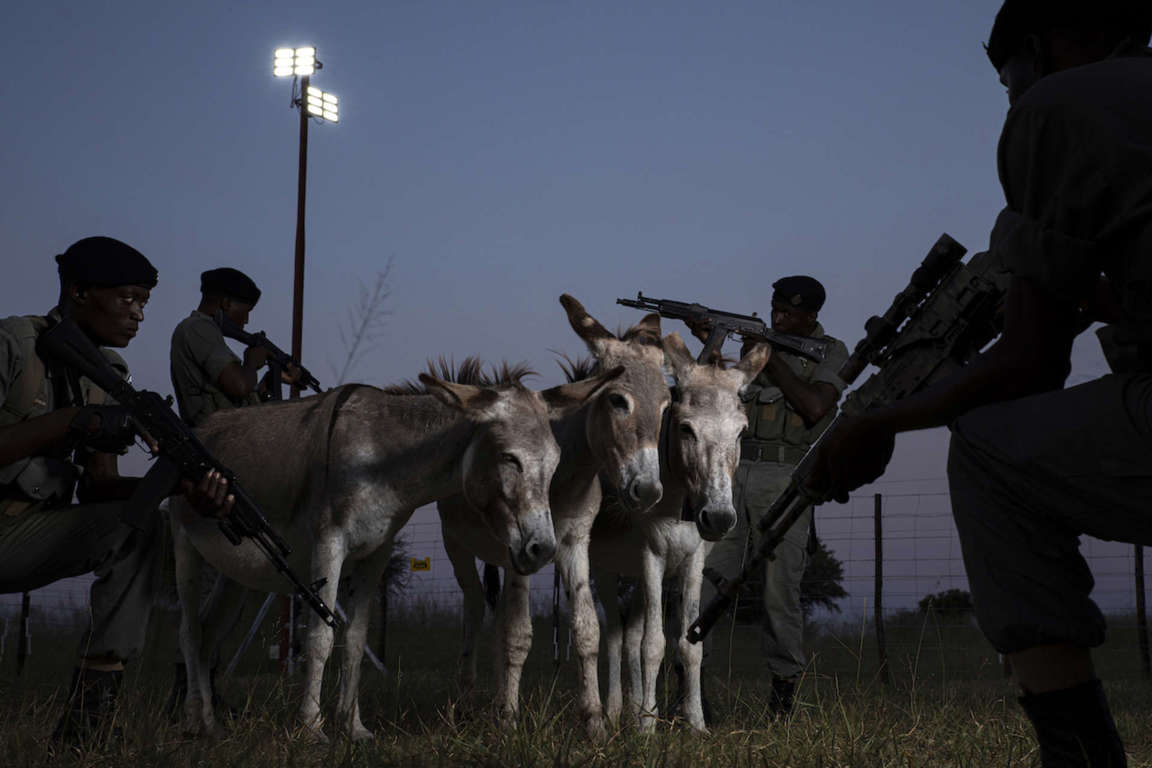 Ejercicios de la unidad de protección «Cobras», Zimbabue, 2022