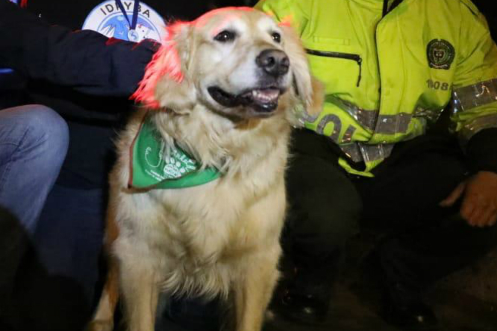Ciudadanía denuncia caso de maltrato animal en el norte de Bogotá