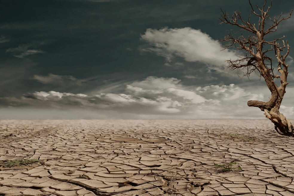 ONU advierte que la salud humana estará en grave riesgo si no protegemos el ambiente