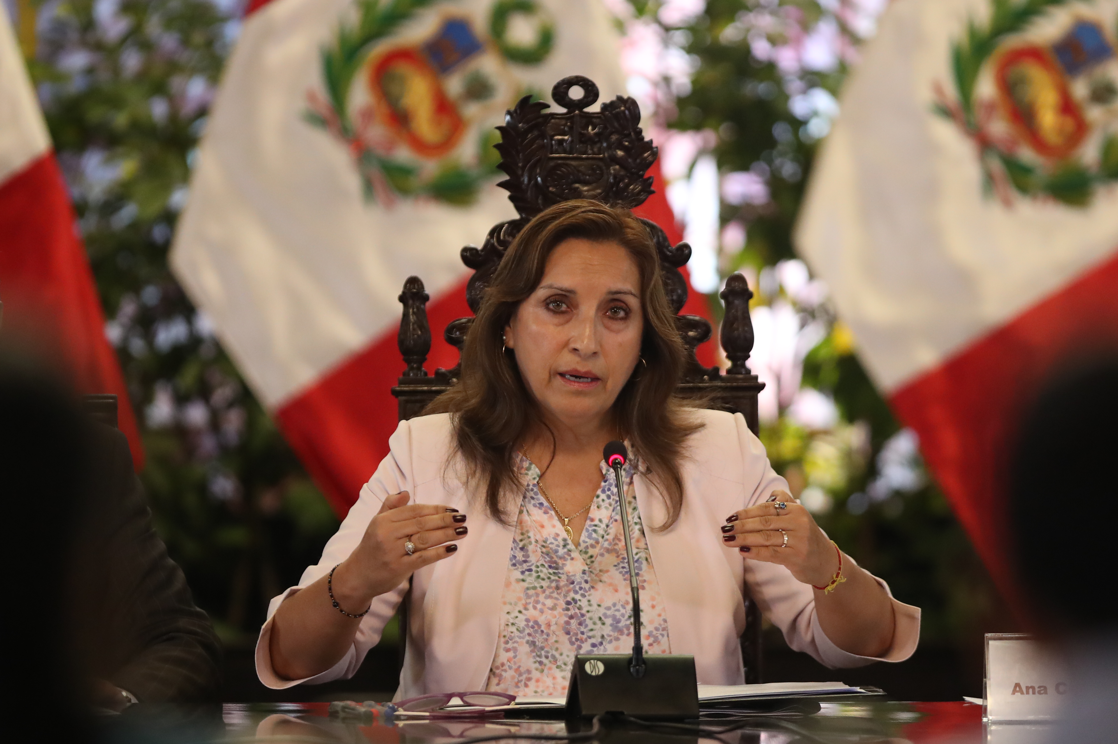 Escritores y artistas urgen cese de “matanza” en Perú y renuncia de Boluarte