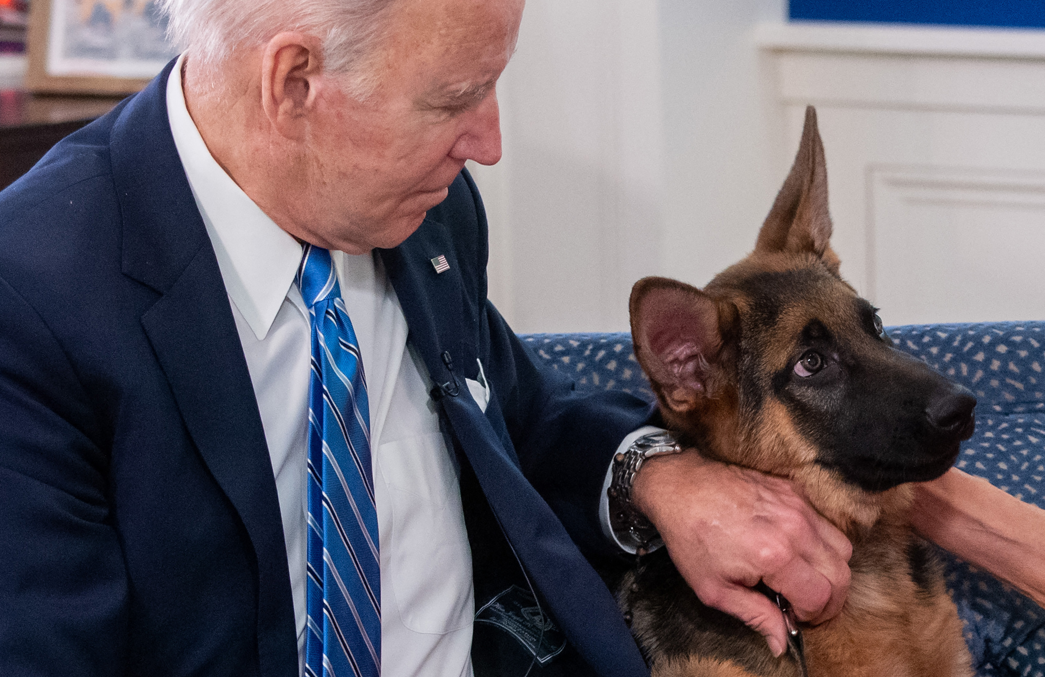 Commander, perro del presidente Biden, ha mordido a 10 personas en la Casa Blanca