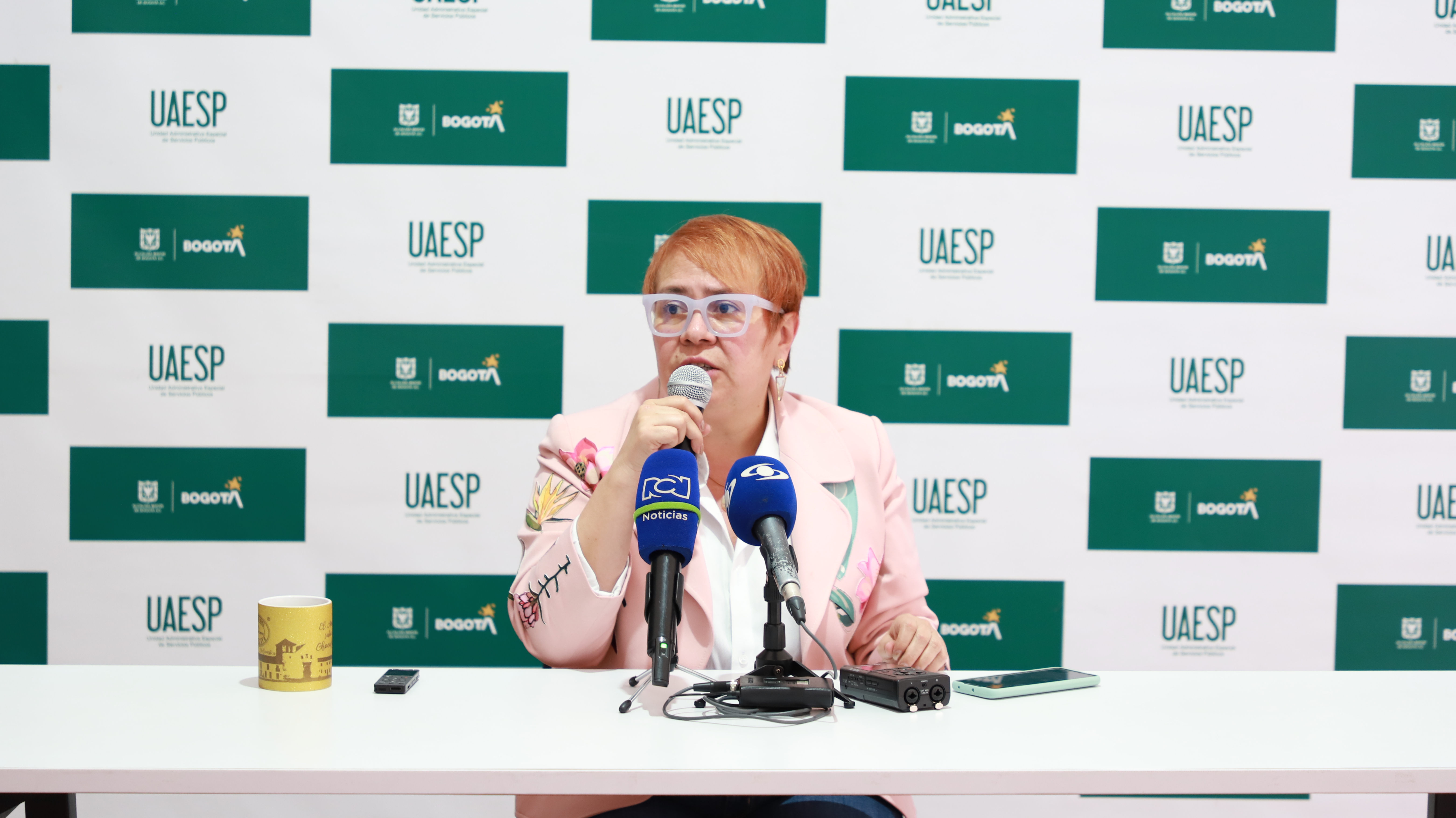 Imputan cargos a la exdirectora de la UAESP por daño en los recursos naturales