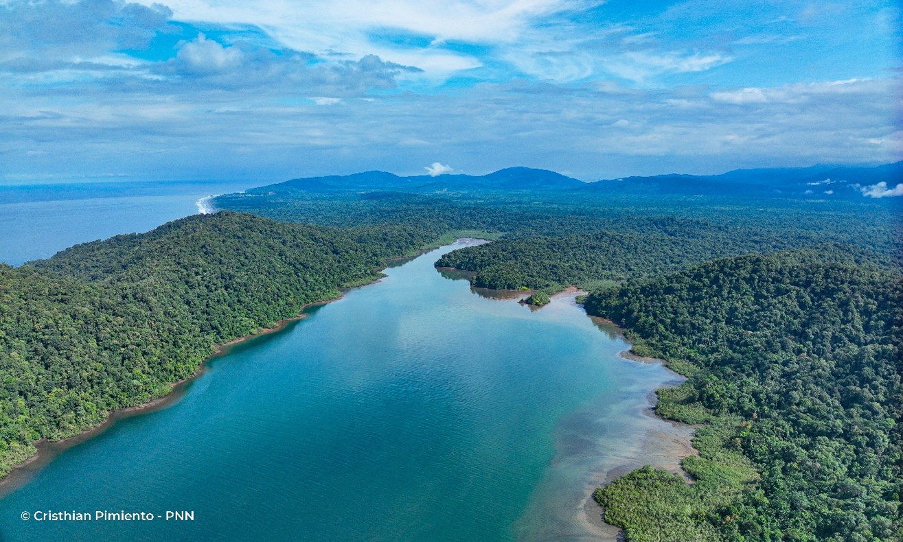 Utría, la bella: entre la selva, el mar y las ballenas