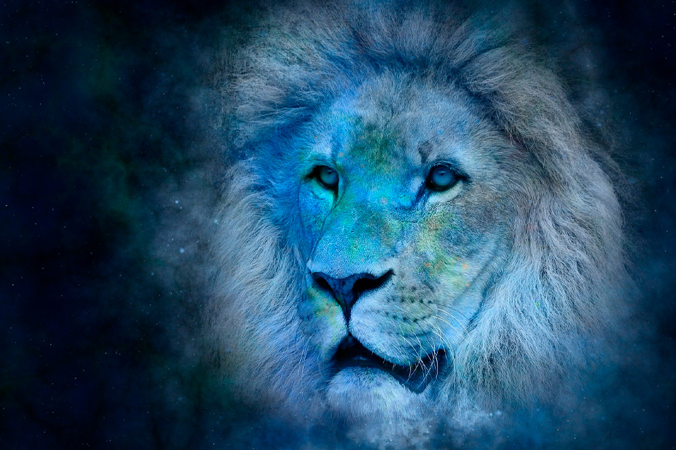 Leo: todo lo que debes saber sobre las personas de este signo