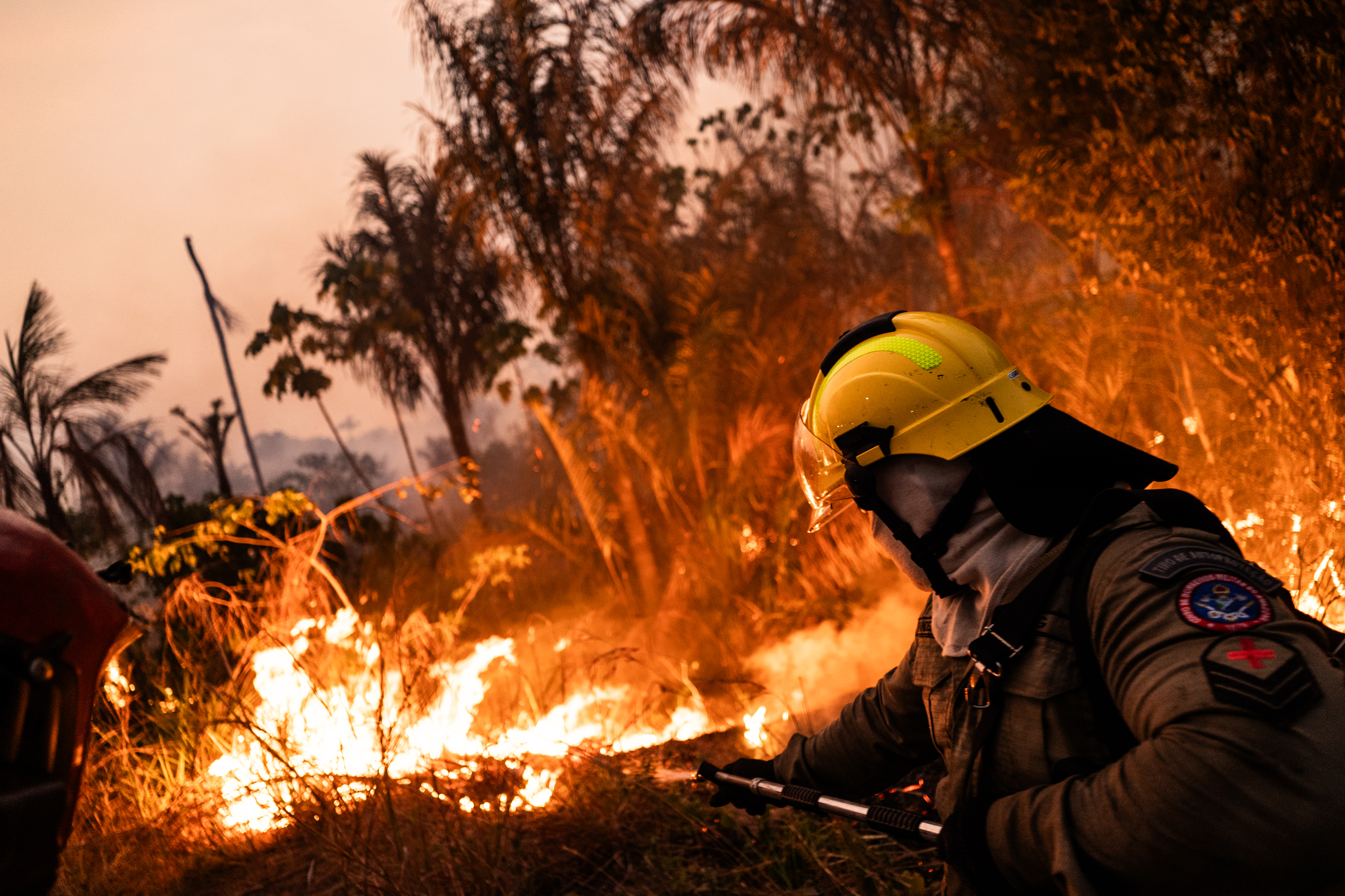 Los incendios forestales que afectan a más del 50 % de Brasil en medio de una histórica sequía