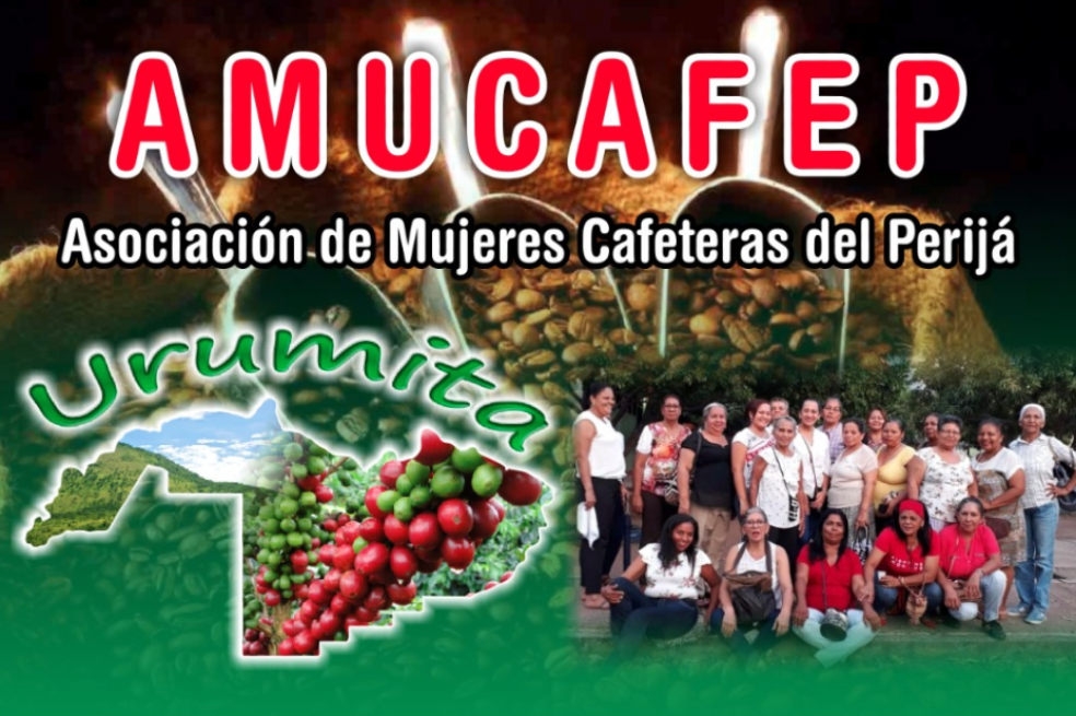 Urumita, La Guajira, Asociación de Mujeres Cafeteras del Perijá.