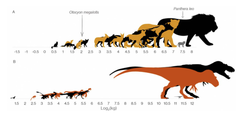 Crece rápido y muere joven: esto explica por qué predominaron los dinosaurios gigantes