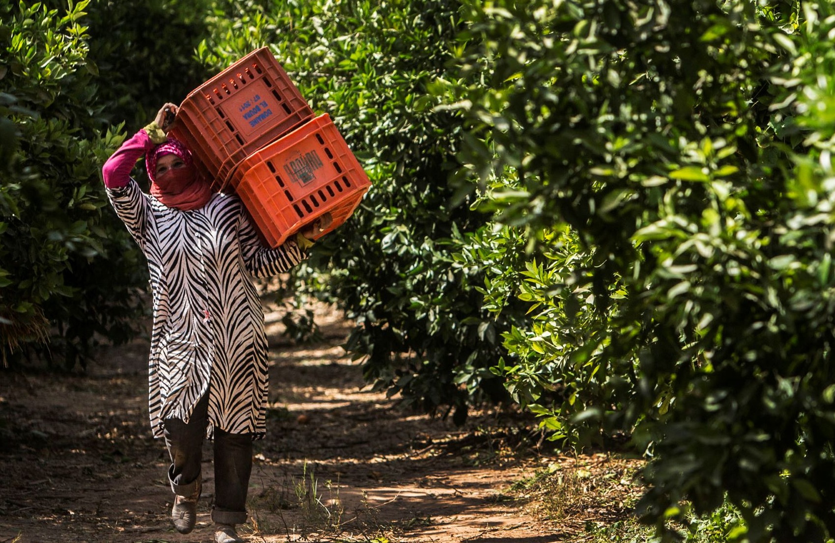 Mujeres rurales son las más afectadas por el cambio climático, advierte la ONU