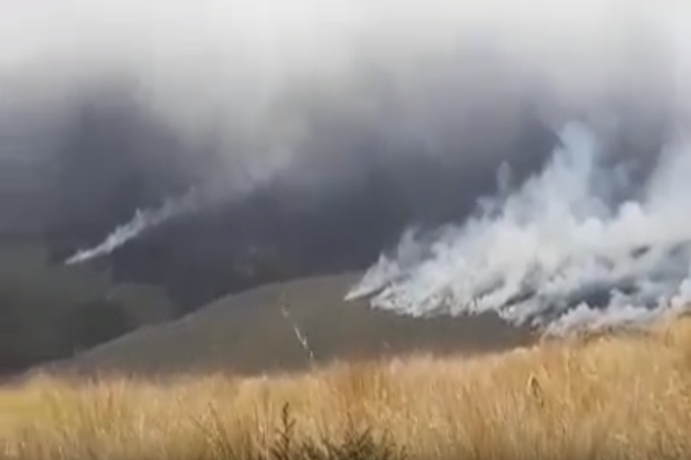 Emergencia en Cauca por incendio en Parque Puracé