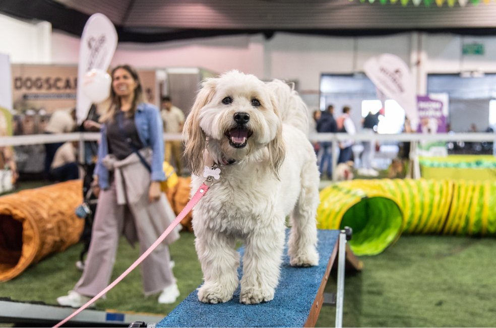 Prográmese para Expopet 2025: la feria de mascotas más grande de Colombia