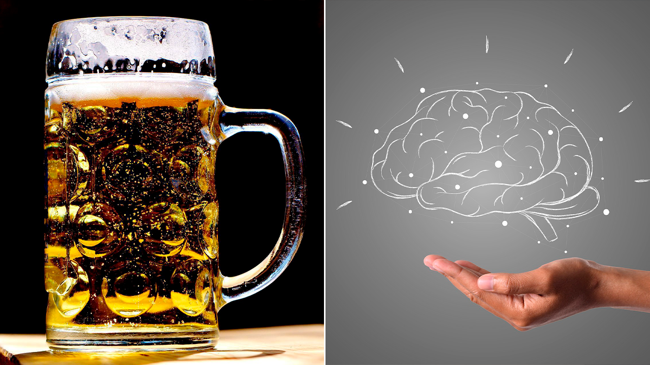 El consumo moderado de alcohol también afecta al cerebro