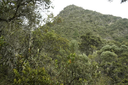 Santuario Pionono-Las Águilas.