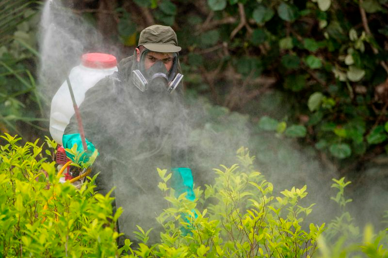 El gobierno de Joe Biden y la fumigación en Colombia