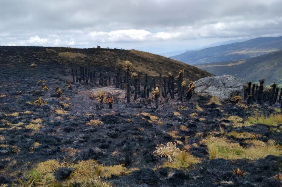 Corpoboyacá visitará la zona para calcular la afectación a la flora y fauna del páramo.