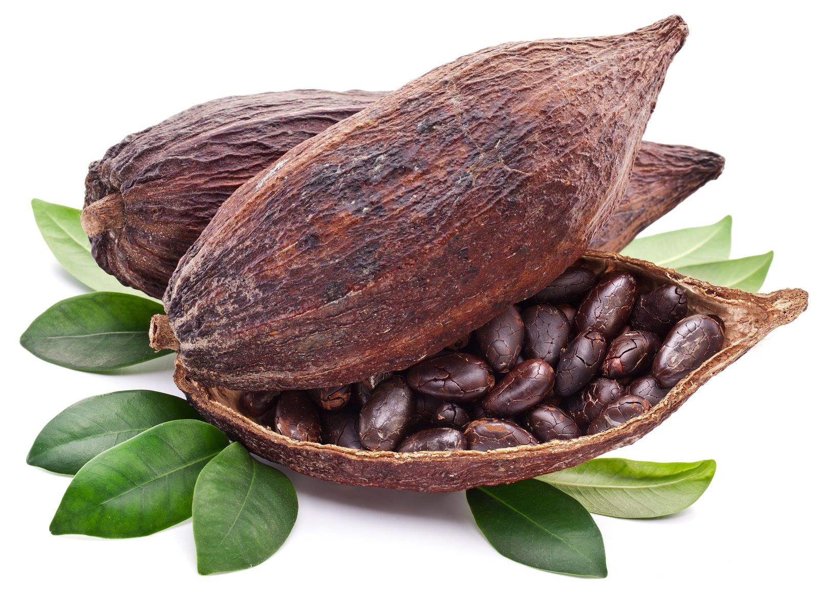 Cacao