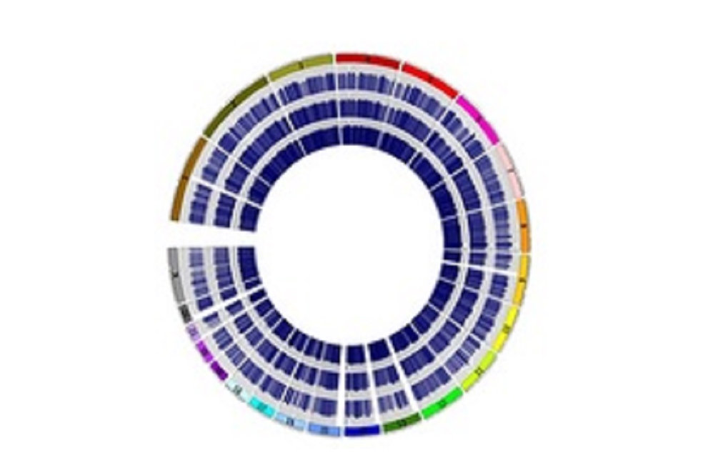 Mapean las modificaciones químicas de los genes en los tres tumores más frecuentes